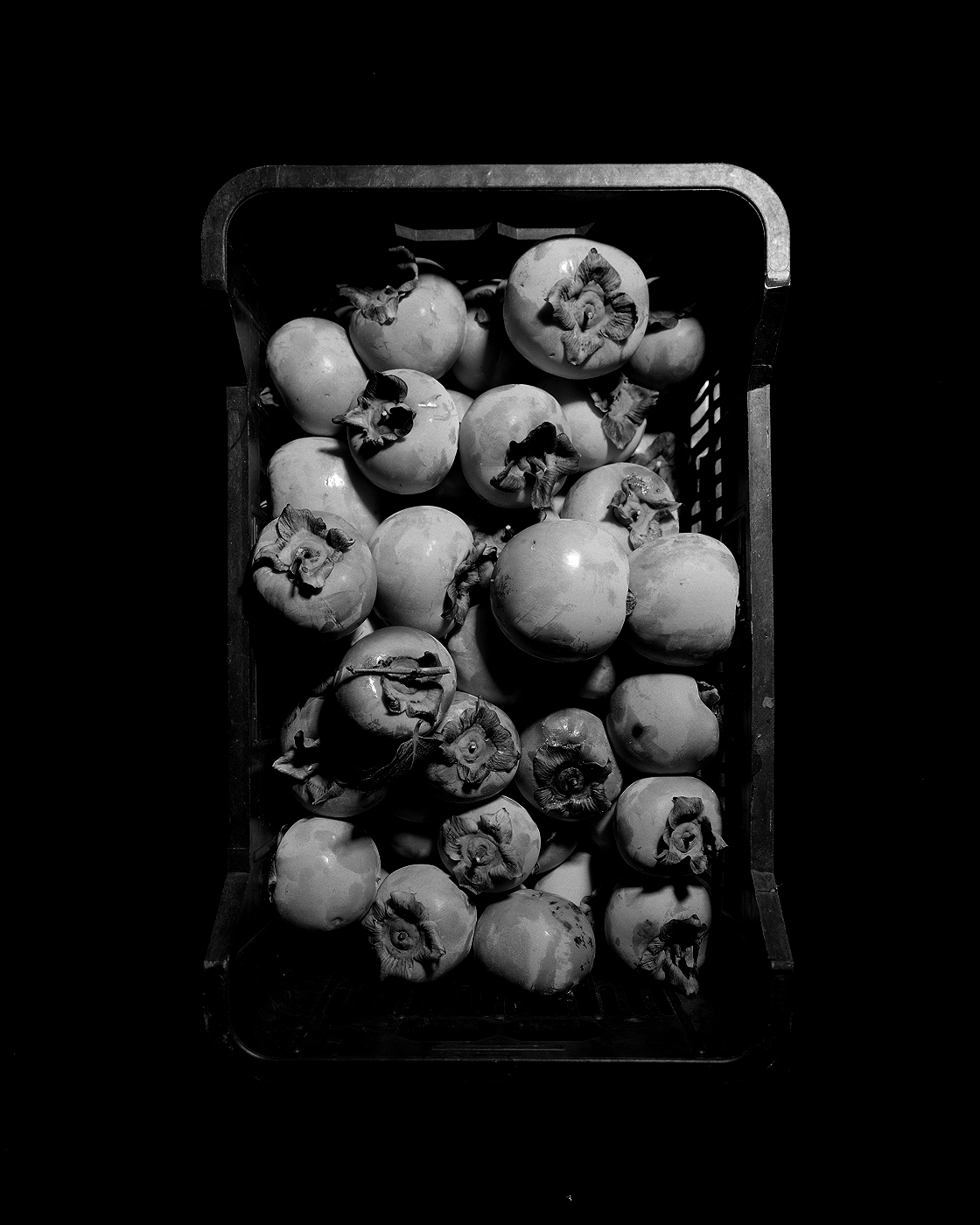 purgatorium2